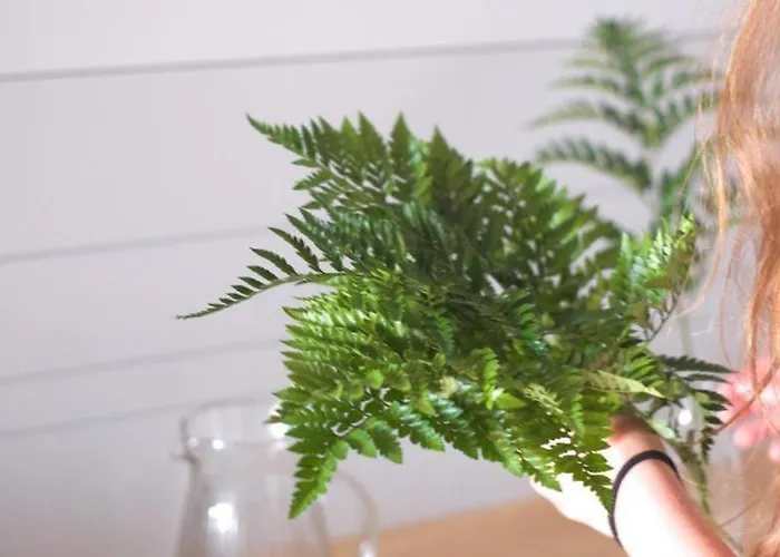 Lar Atlantica * Comarca de Vigo